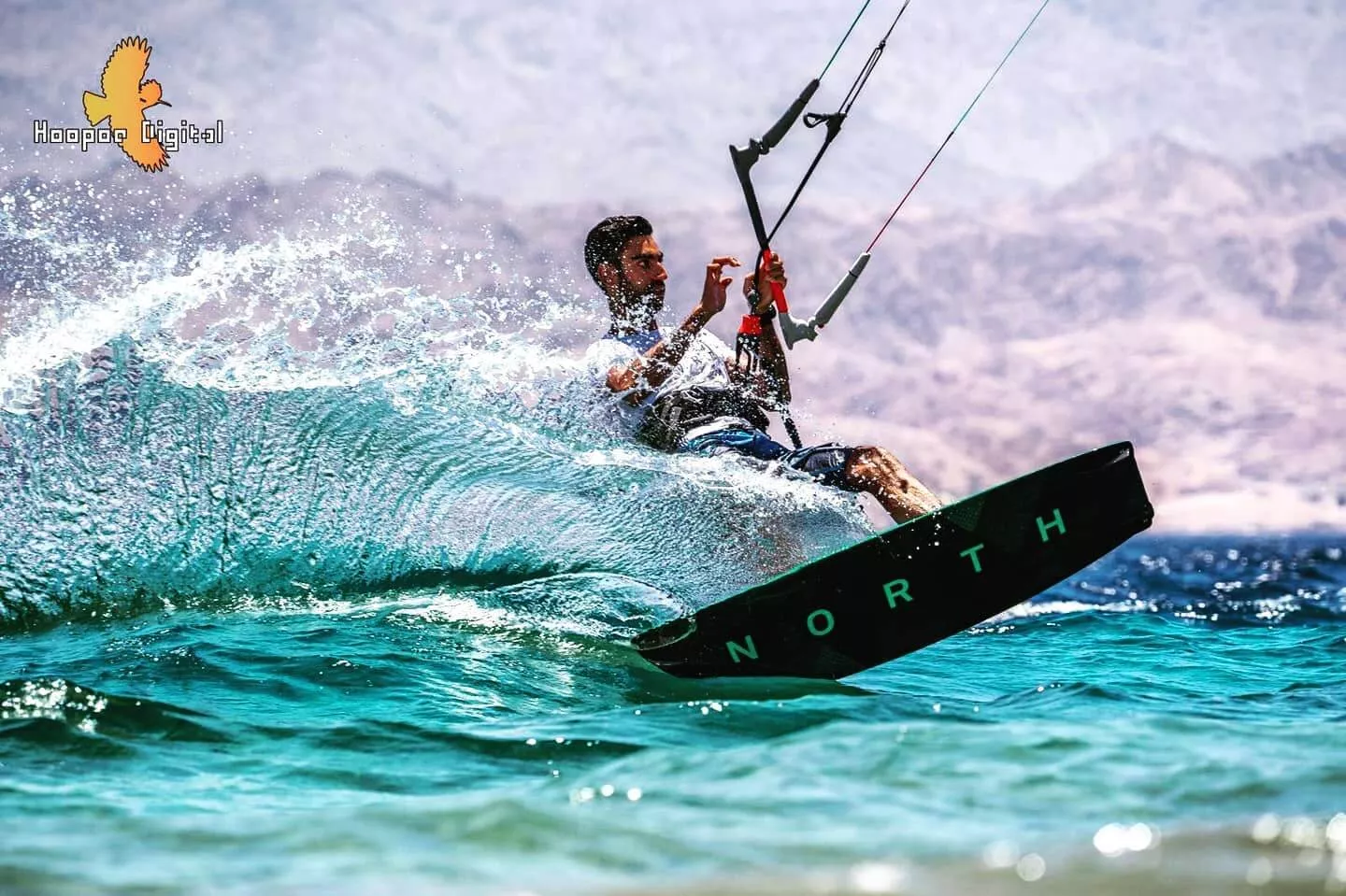 קייט ריץ של נורת