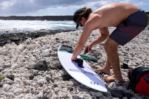 FREE SURF