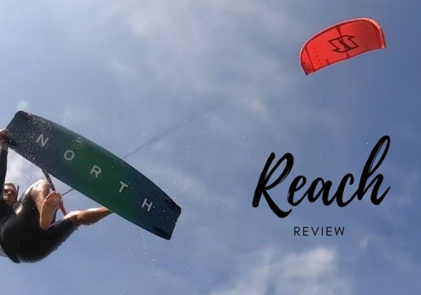 חוות דעת – REACH